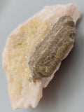 Apatite in Salmon Calcite Otter Lake, QC
