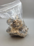 Eye Of Odin Sapphire C Grade Rough
