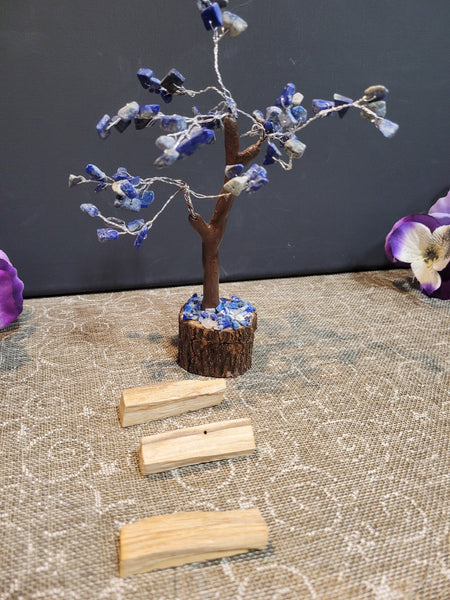 chriscorns April 5th 2025 Live