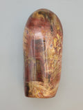 Petrified Wood Free Form