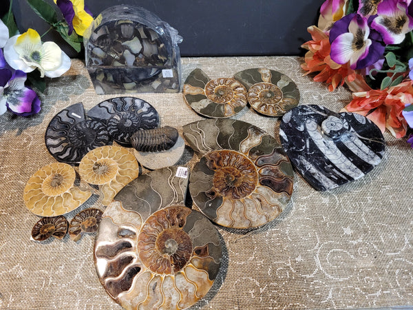 kld0144 July 26th 2025 TikTok Live