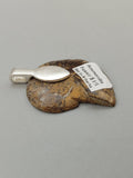 Ammonite Pendant