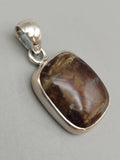 Canadian Petrified Wood Pendant Set in .925 Sterling Silver