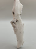 Ram Horn Selenite