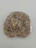Canadian Gypsum Desert Rose~ Winnipeg, MB