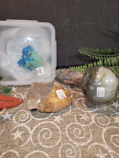 16406 September 20th 2025 Live