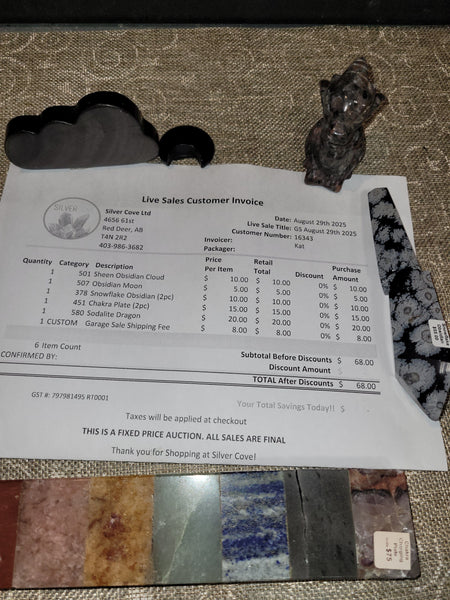 16343 Garage Sale August 29th 2025 Live