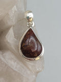 Canadian Petrified Wood Pendant Set in .925 Sterling Silver