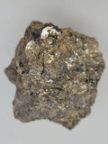 Canadian Opal In Matrix~ Burns Lake, B.C.