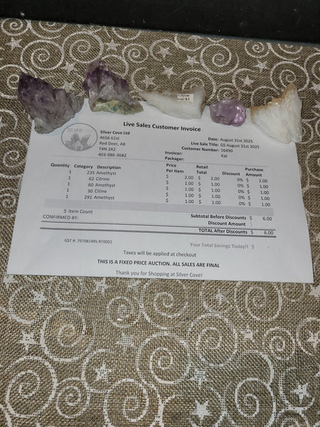 16490 Garage Sale August 31st 2025 Live