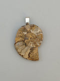 Ammonite Pendant