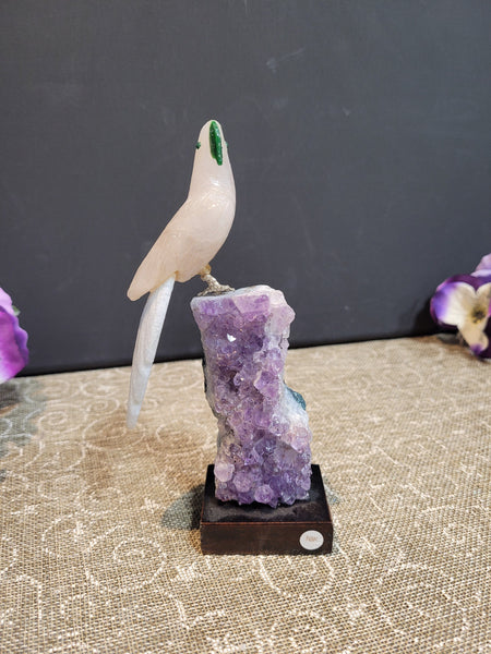 16772 April 14th 2025 Live