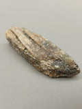 Green Kyanite Specimen