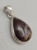 Canadian Petrified Wood Pendant Set in .925 Sterling Silver