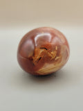 Petrified Wood