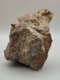 Canadian Chalcopyrite~ Tofino, B.C.