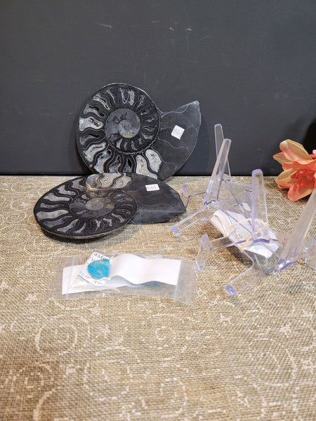 16133 June 29th 2025 Live