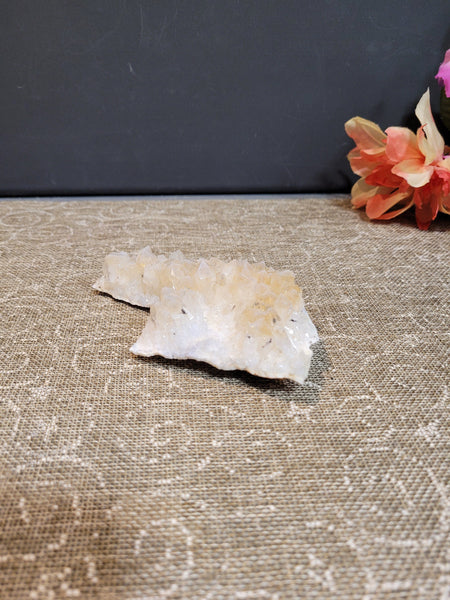 15809 June 28th 2025 Live