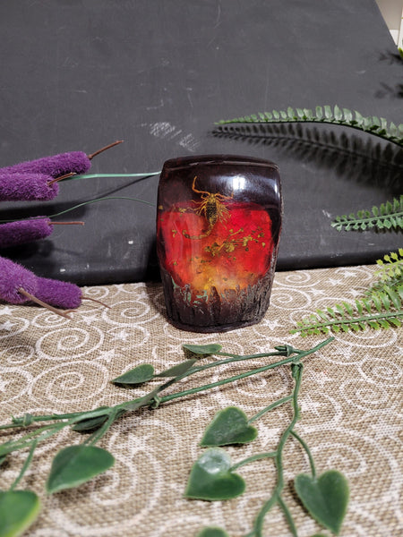 13958 October 27th 2025 Live