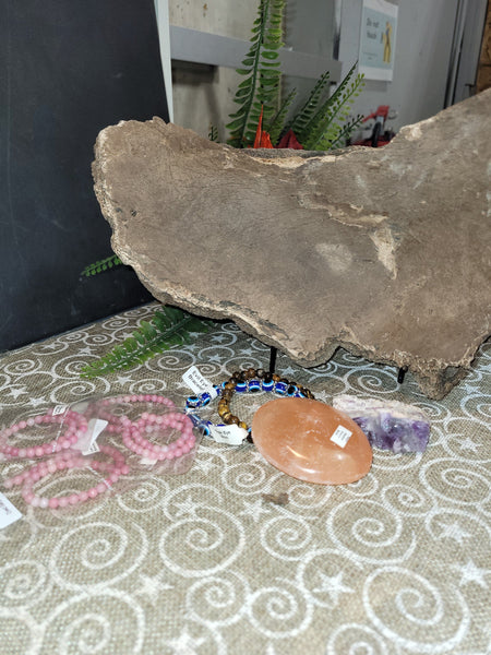 16490 October 4th 2025 Live