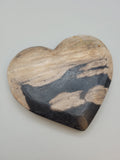 Petrified Wood Heart Carvings♥️