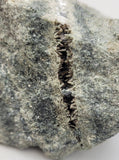 Canadian Actinolite~ Bancroft, ON