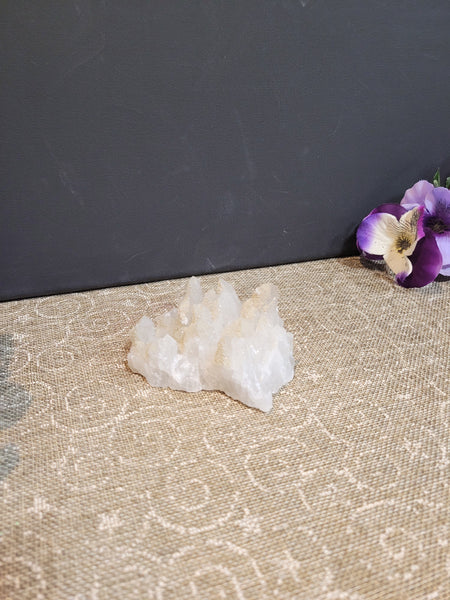 oh_my_womay April 9th 2025 Live