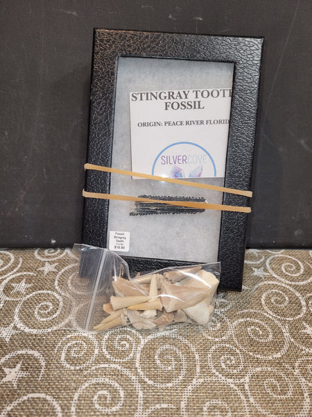 14387 September 3rd 2025 Live