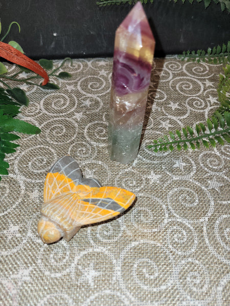 16805 October 22nd 2025 Live