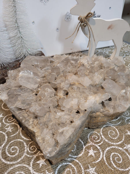 16751 April 6th 2025 Live