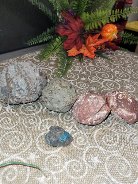 16808 October 6th 2025 Live