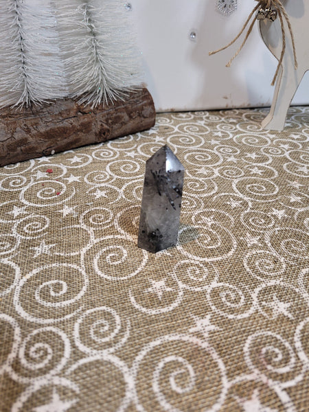 16667 April 6th 2025 Live