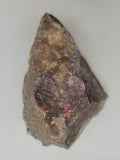 Canadian Chalcopyrite~ Tofino, B.C.