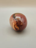 Petrified Wood