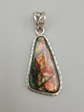 Canadian Ammolite Pendant Set in .925 Sterling Silver