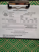 10400 June 27th 2025 Live