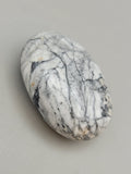 Canadian Pinolith Palm Stone Quartz Creek, B.C.