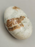 Canadian Vesuvianite & Grossular Garnet Palm Stone Bugaboos, B.C.