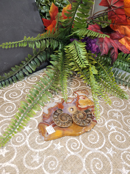 16805 September 13th 2025 Live