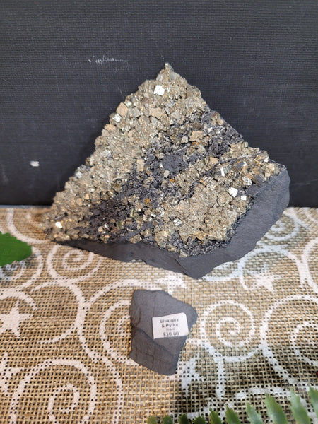 15677 November 2 Live