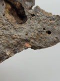 Canadian Opal In Matrix~ Burns Lake, B.C.