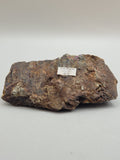 Canadian Chalcopyrite~ Tofino, B.C.