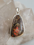 Canadian Ammolite Pendant Set in .925 Sterling Silver