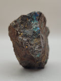 Canadian Chalcopyrite~ Tofino, B.C.