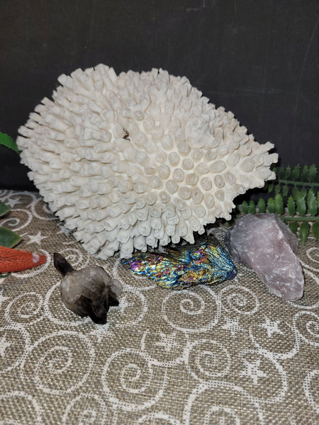 16811 September 20th 2025 Live