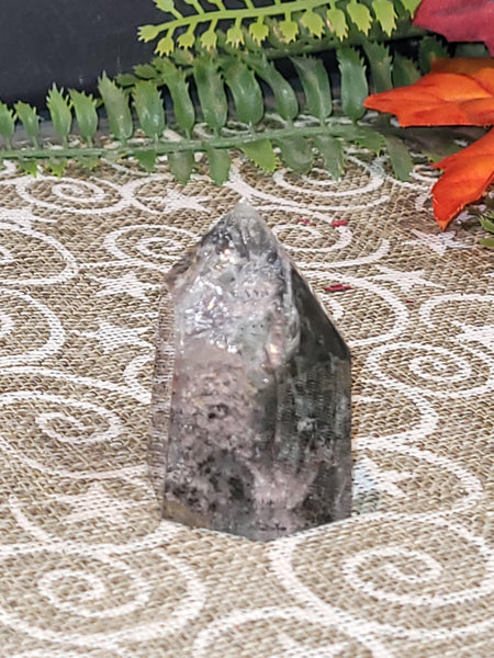 16667 RDGS September 25th 2025 Live