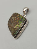 Canadian Ammolite Pendant Set in .925 Sterling Silver