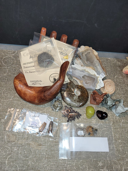 milobotomy August 22nd Edmonton Live Show 2025