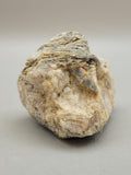 Canadian Blue Kyanite~ Revelstoke, B.C.