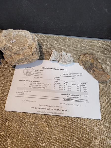 16133 August 3rd 2025 TikTok Live